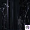 Alien Bowing Alien Movie / TV Show 1/1 Scale Figure Reborn Studio - Photo 6 | TopGKStore