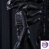 Alien Bowing Alien Movie / TV Show 1/1 Scale Figure Reborn Studio - Photo 7 | TopGKStore