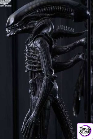 Alien Bowing Alien Movie / TV Show 1/1 Scale Figure Reborn Studio - Photo 7 | TopGKStore