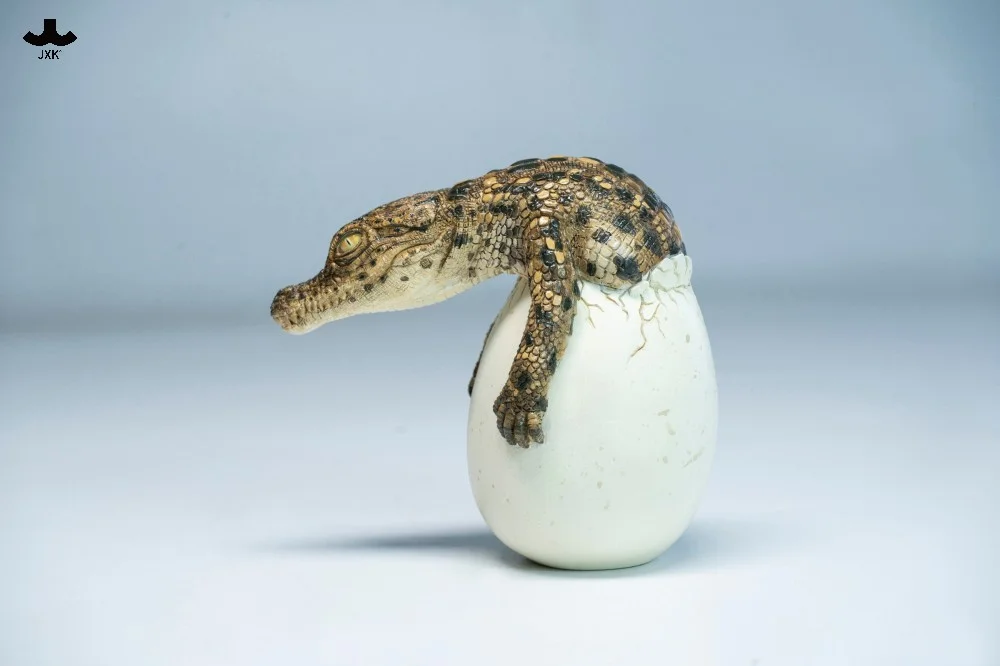 JXK – Hatchling Crocodile Statue (GK) – Pre-Order - Image 6