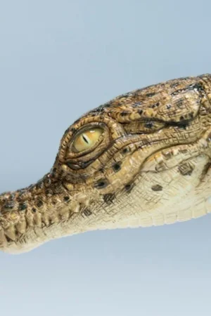 Alternative view of JXK – Hatchling Crocodile Statue (GK) – Pre-Order