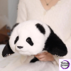 Chongker Panda Menglan 1.8kg Weighted Plush - Photo 3 | TopGKStore
