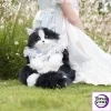 Chongker Tuxedo Cow Cat Backpack Bag Plush - Photo 5 | TopGKStore
