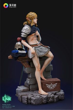 Fighter Link The Legend of Zelda 1/6 Scale TOPGK Statue[R18]-MintBoy Studio - Photo 6 | TopGKStore