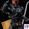Z Studio (Masked Rider) - Kamen Rider Black Sun - Photo 8 | TopGKStore