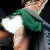 The Legend of Zelda Link 1/6 Scale TOPGK Statue[R18] In Stock-MintBoy Studio - Photo 30 | TopGKStore