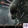 Alien (1979) - Big Chap Xenomorph (Deluxe Bonus) 1/3 Scale Statue - Deposit - Photo 28 | TopGKStore