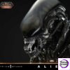 Alien (1979) - Big Chap Xenomorph (Deluxe Bonus) 1/3 Scale Statue - Deposit - Photo 22 | TopGKStore