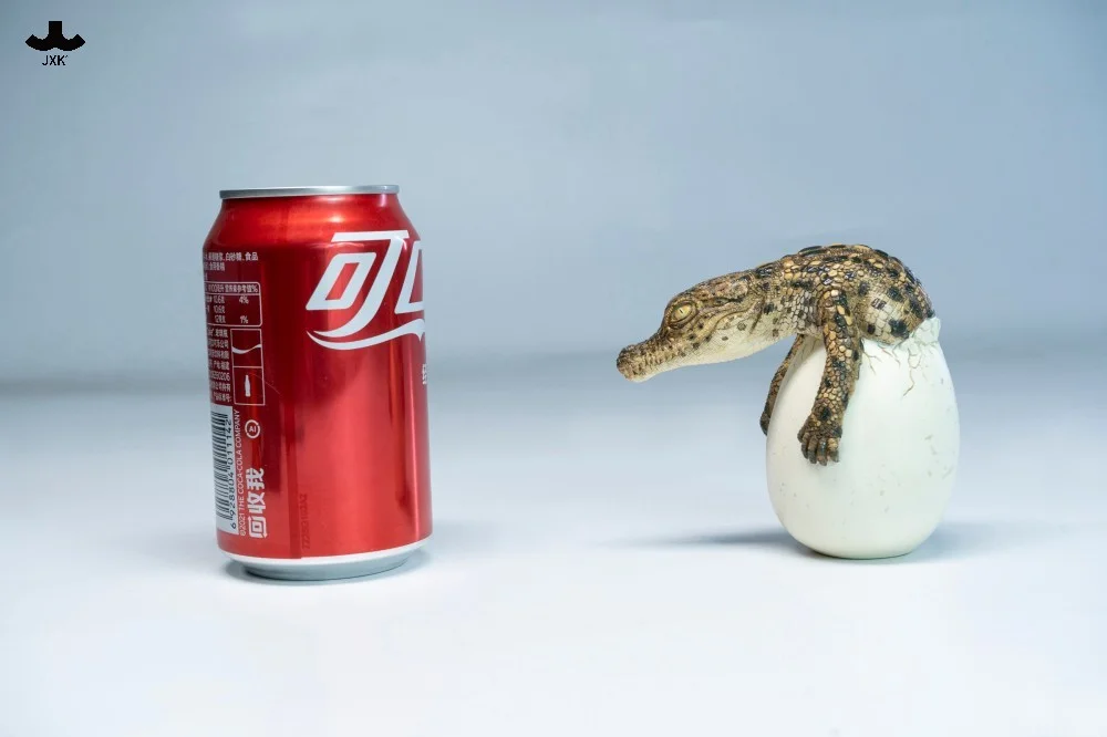 JXK – Hatchling Crocodile Statue (GK) – Pre-Order - Image 11