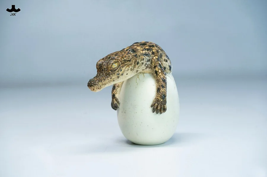 JXK – Hatchling Crocodile Statue (GK) – Pre-Order - Image 10
