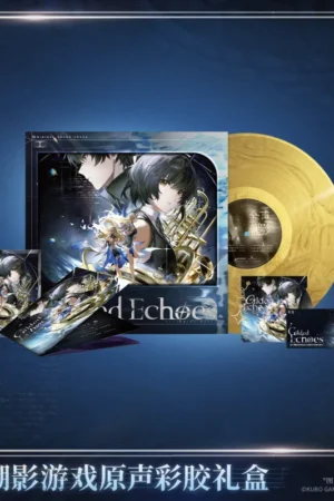 KURO GAMES Wuthering Waves Golden Sound and Shimmering Reflections Themed Vinyl Gift Box