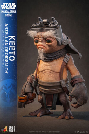 Hottoys Star Wars Keeto