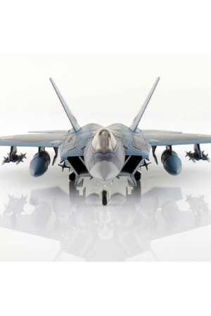 Hobby Master - F-22 Die-Cast Aircraft Model