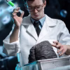 Infinite Statue – Doctor Herbert West 16 Action Figure Re-Animator Sixth Scale Figure (Licensed)