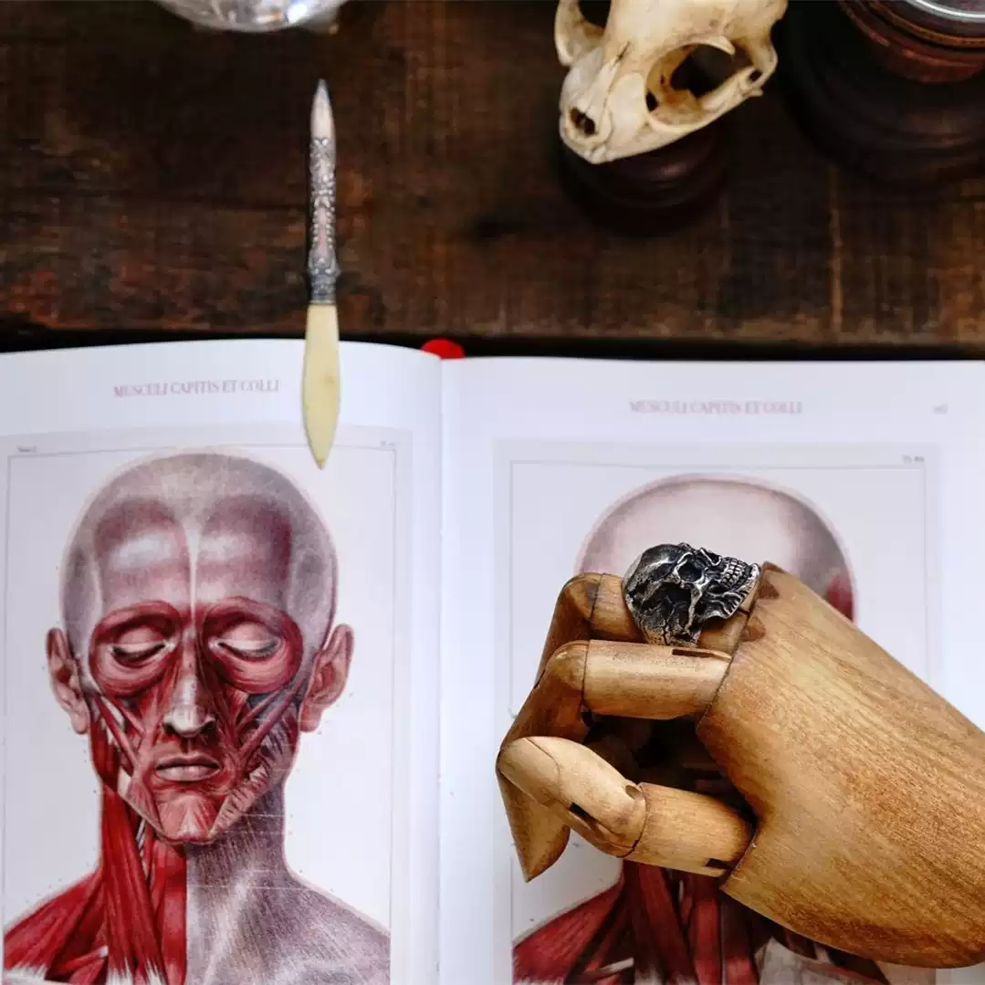Raven Studio (silver jewelry) - Exclusive Fashionista Skull Ring Original - Image 4