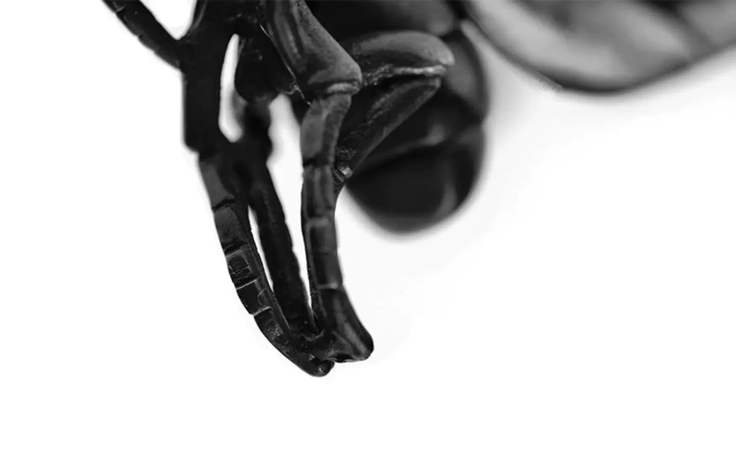 Raven Studio (silver jewelry) - Original Exclusive Design Bee "The Intruder" Pendant Original - Image 7
