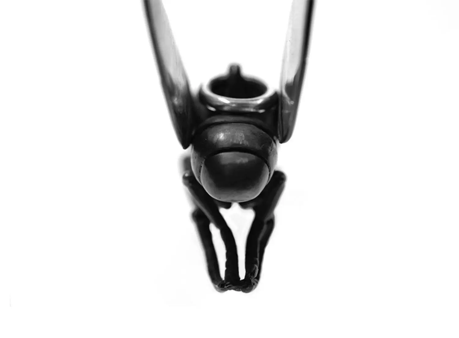Raven Studio (silver jewelry) - Original Exclusive Design Bee "The Intruder" Pendant Original - Image 8
