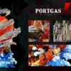 Seven Studio – Flame Emperor Ace One Piece High-End Resin Statue