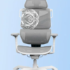 TGIF - Ace Fiora Collaboration Gaming Ergonomic Chair
