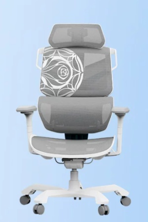 TGIF - Ace Fiora Collaboration Gaming Ergonomic Chair