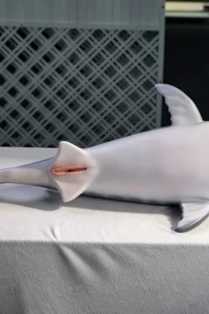 Alternative view of Baby Shark Doll Original Silicone Sex Doll - Dolls Castle