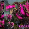 Ashes Studio Monster Hunter Magnamalo