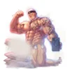 Pale Hose Original Artist design