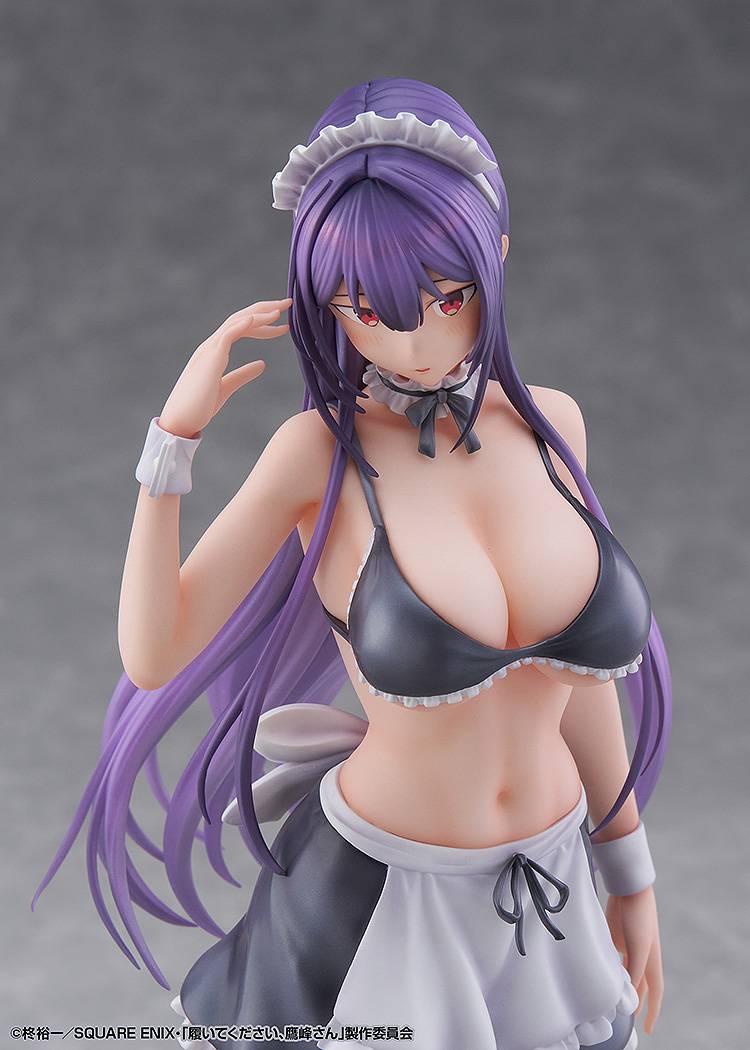 DMM Factory - TV Anime "Please Put Them On, Takamine-san" Takane Takamine 1/6 Complete Figure (Licensed)