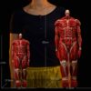 Attack on Titan Colossal Titan Set – Big & Small Polystone Resin Figures -Wu Shi Mo Wan Studio
