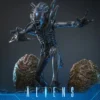 HOT TOYS - Aliens MMS899 Alien Warrior (Deluxe Ver.) 16th Scale Collectible Figure BRAND ALIEN