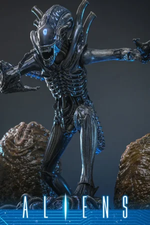HOT TOYS - Aliens MMS899 Alien Warrior (Deluxe Ver.) 16th Scale Collectible Figure BRAND ALIEN