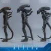 HOT TOYS - Aliens MMS899 Alien Warrior (Deluxe Ver.) 16th Scale Collectible Figure BRAND ALIEN