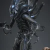 HOT TOYS - Aliens MMS899 Alien Warrior (Deluxe Ver.) 16th Scale Collectible Figure BRAND ALIEN