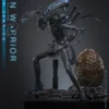 HOT TOYS - Aliens MMS899 Alien Warrior (Deluxe Ver.) 16th Scale Collectible Figure BRAND ALIEN
