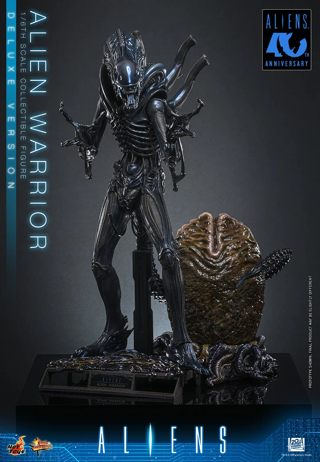 HOT TOYS - Aliens MMS899 Alien Warrior (Deluxe Ver.) 16th Scale Collectible Figure BRAND ALIEN