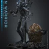 HOT TOYS - Aliens MMS899 Alien Warrior (Deluxe Ver.) 16th Scale Collectible Figure BRAND ALIEN