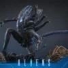 HOT TOYS - Aliens MMS899 Alien Warrior (Deluxe Ver.) 16th Scale Collectible Figure BRAND ALIEN