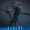 HOT TOYS - Aliens MMS899 Alien Warrior (Deluxe Ver.) 16th Scale Collectible Figure BRAND ALIEN