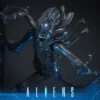 HOT TOYS - Aliens MMS899 Alien Warrior (Deluxe Ver.) 16th Scale Collectible Figure BRAND ALIEN