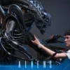 HOT TOYS - Aliens MMS899 Alien Warrior (Deluxe Ver.) 16th Scale Collectible Figure BRAND ALIEN
