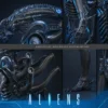HOT TOYS - Aliens MMS899 Alien Warrior (Deluxe Ver.) 16th Scale Collectible Figure BRAND ALIEN