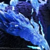 MG Studio Solo Leveling Shadow Army Igris&Tank