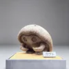 Miumiu Studio - Fossil Museum Series Kabutops X Kabuto Pokémon