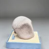 Miumiu Studio - Fossil Museum Series Kabutops X Kabuto Pokémon