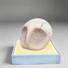 Miumiu Studio - Fossil Museum Series Kabutops X Kabuto Pokémon
