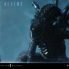 Prime 1 Studio Alien Warrior Xenomorph