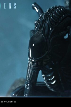 Prime 1 Studio Alien Warrior Xenomorph