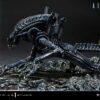 Prime 1 Studio Alien Warrior Xenomorph