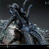 Prime 1 Studio Alien Warrior Xenomorph