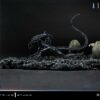 Prime 1 Studio Alien Warrior Xenomorph